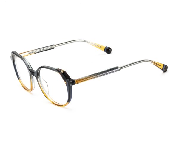 LE PARC DENISE Transparent Grey