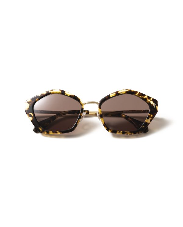 VISIONARIO ORSI Habana Brown