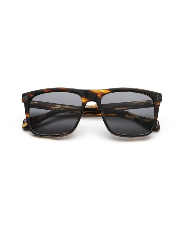 VISIONARIO YORKE Habana Brown - Brown